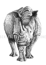 Load image into Gallery viewer, Scribbled Rhinoceros