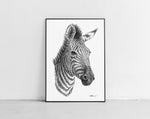 Load image into Gallery viewer, Zebra Zeichnung von Scribblezone im Rahmen