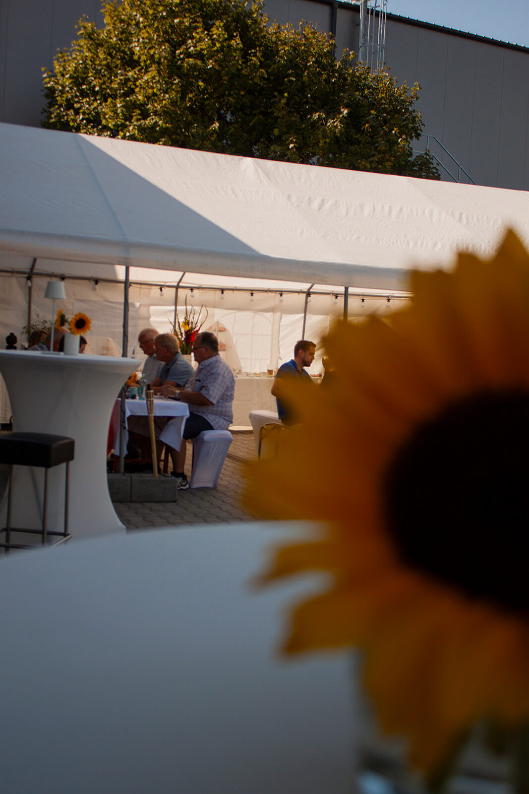 Atelierausstellung der Künstlerin Marilena Hamm alias Scribblezone 2022