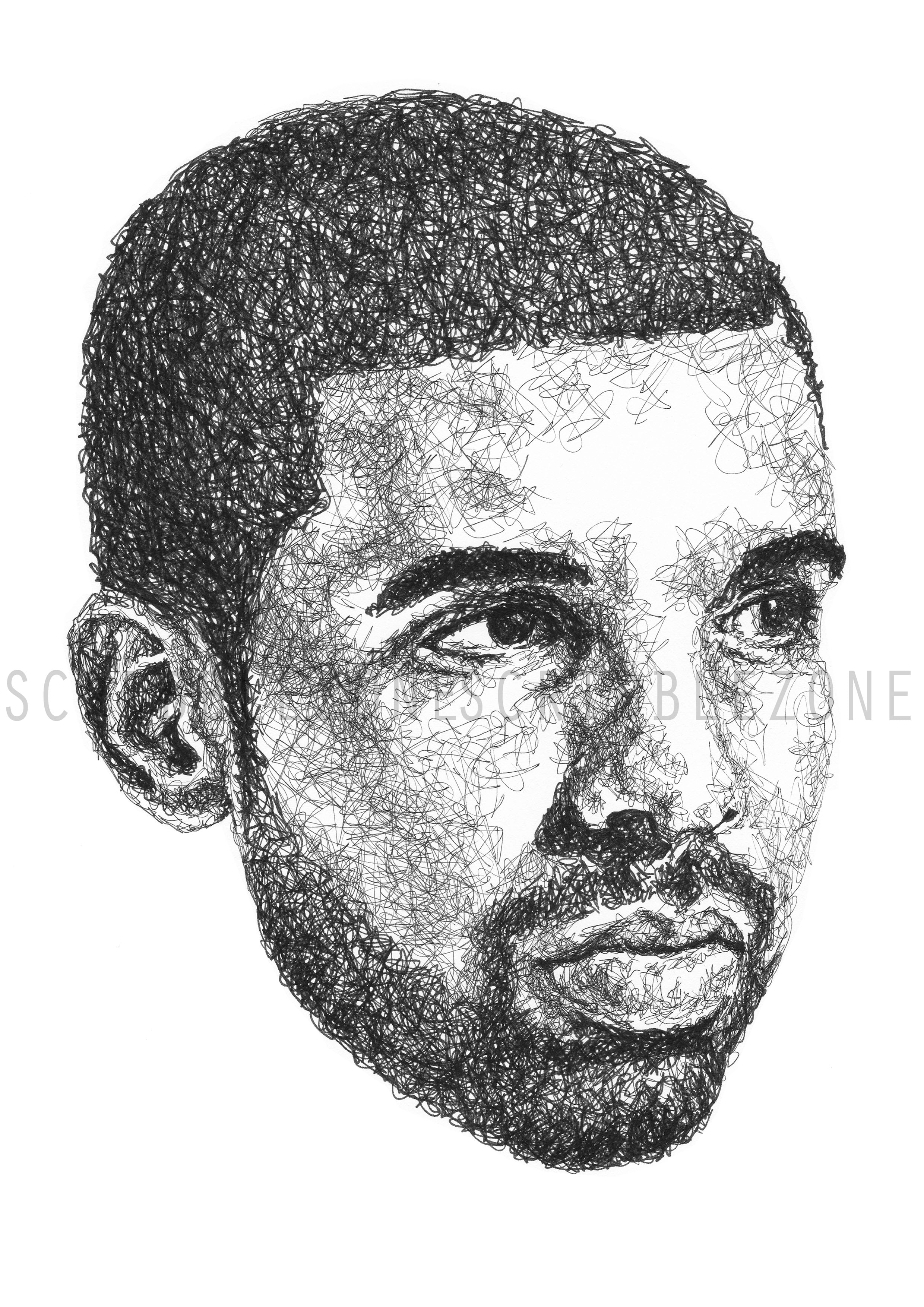 Scribbled Drake