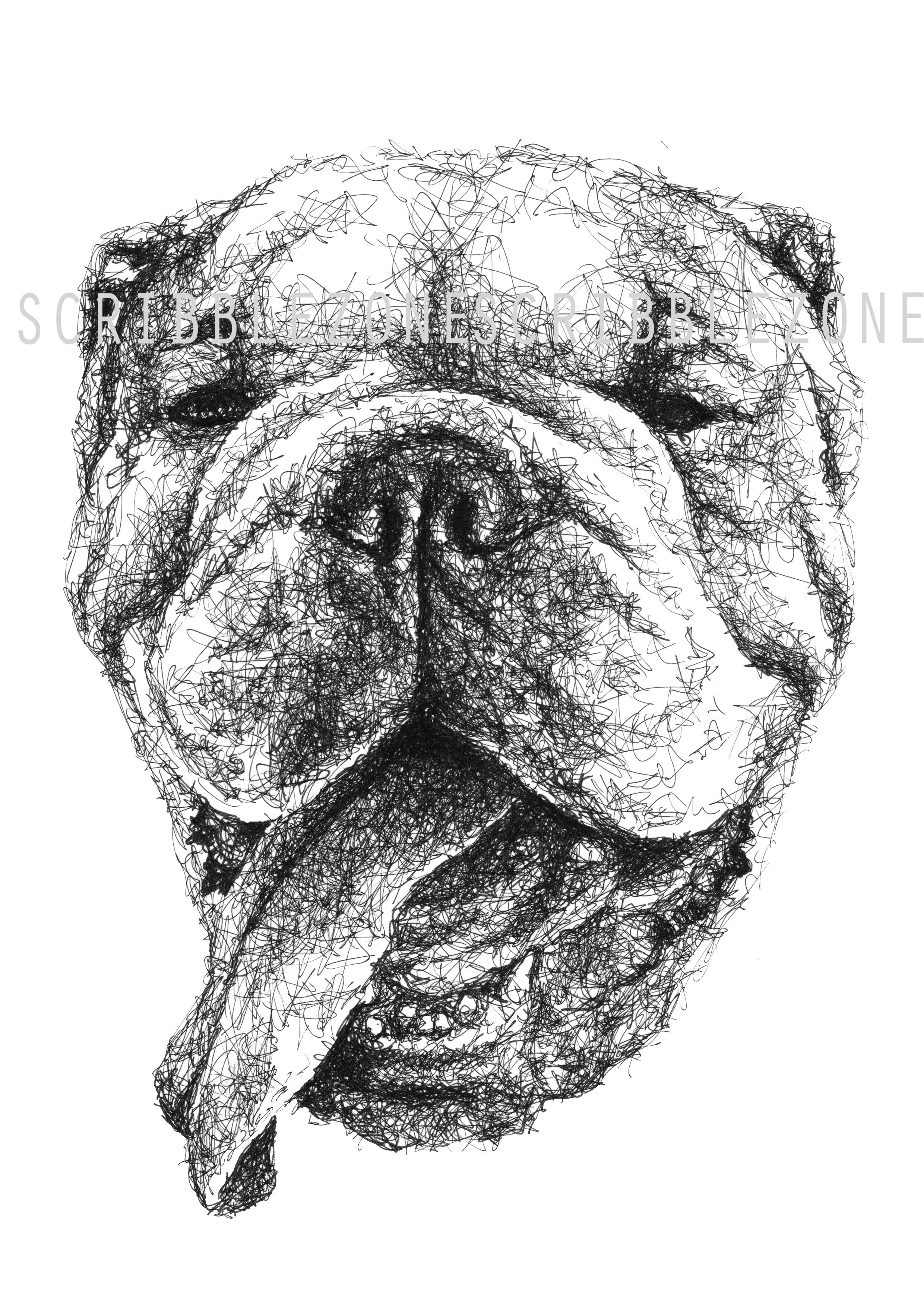 English Bulldog Zeichnung von der Künstlerin Marilena Hamm aka Scribblezone