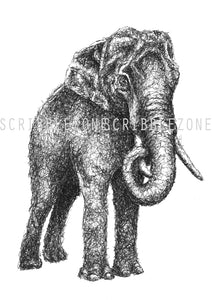 Scribbled Elephant