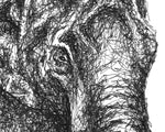 Lade das Bild in den Galerie-Viewer, Scribbled Elephant
