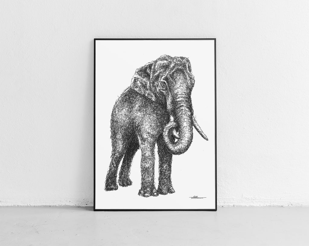 Elefanten Zeichnung von der Künstlerin Marilena Hamm alias Scribblezone