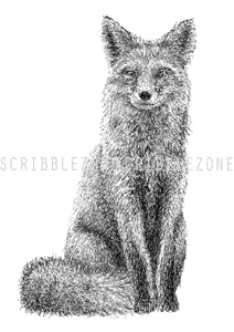 Scribbled Fox