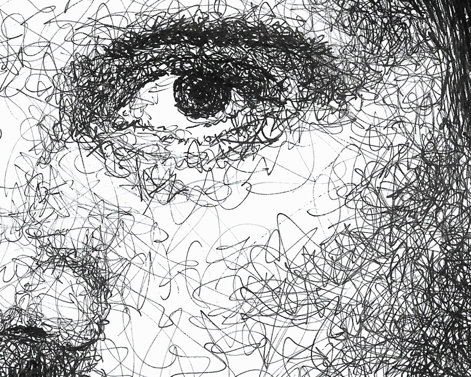 Detail aus dem Freddie Mercury Portrait der Künstlerin Marilena Hamm alias Scribblezone, im unversechselbaren Scribble-Stil gezeichnet.