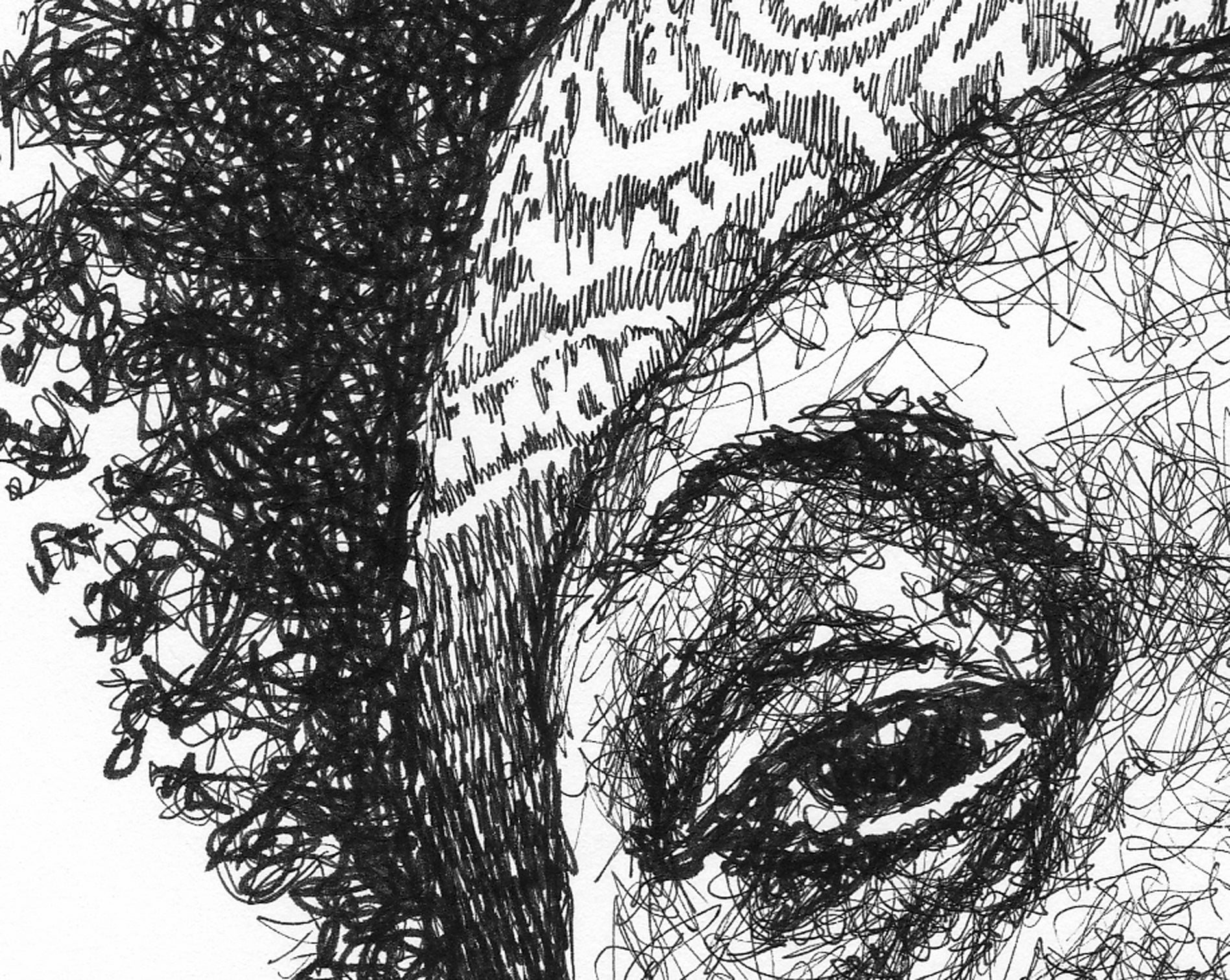 Detail aus dem Joey Badass Portrait der Künstlerin Marilena Hamm alias Scribblezone, im unversechselbaren Scribble-Stil gezeichnet.