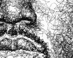 Load image into Gallery viewer, Detail aus dem Kanye West Portrait der Künstlerin Marilena Hamm alias Scribblezone, im unversechselbaren Scribble-Stil gezeichnet.
