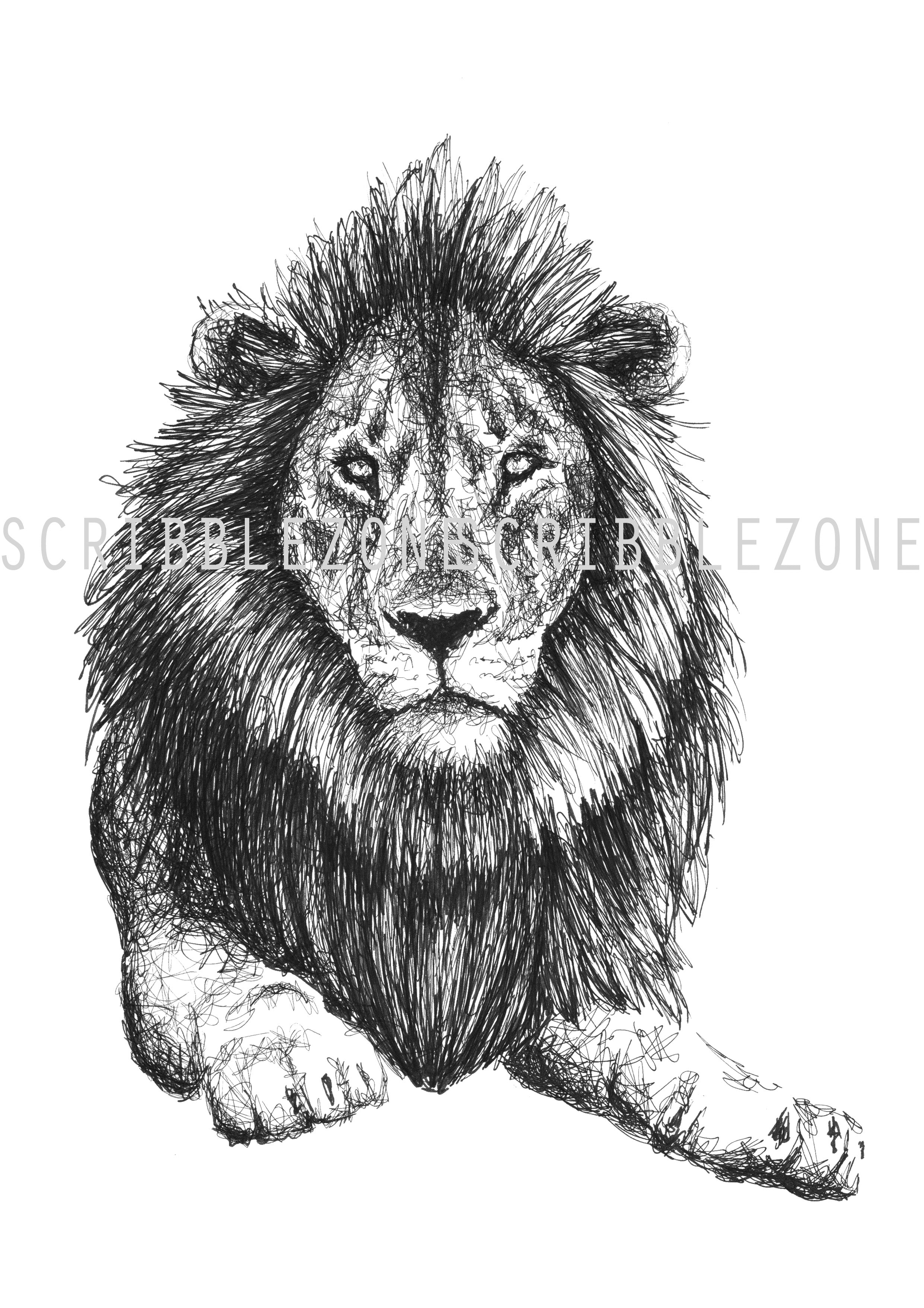 Scribbled Lion
