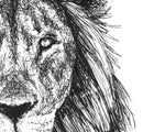 Load image into Gallery viewer, Scribbled Lion
