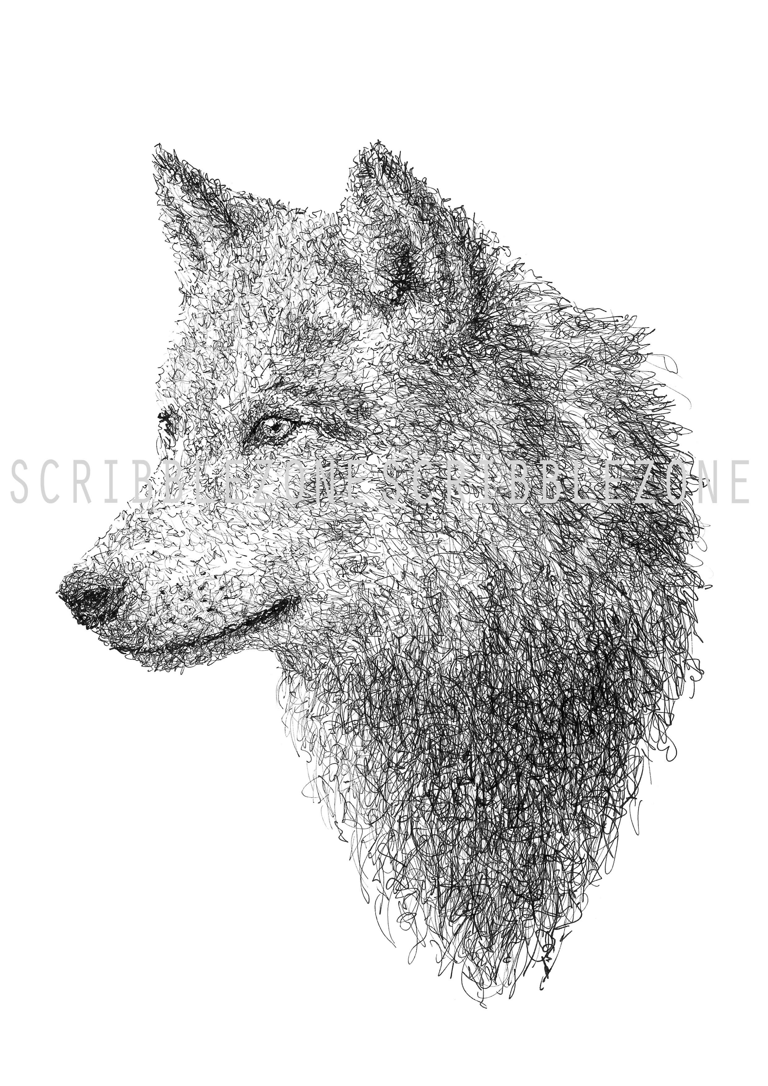 Scribbled Wolf