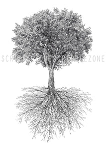 Scribbled Tree of Life