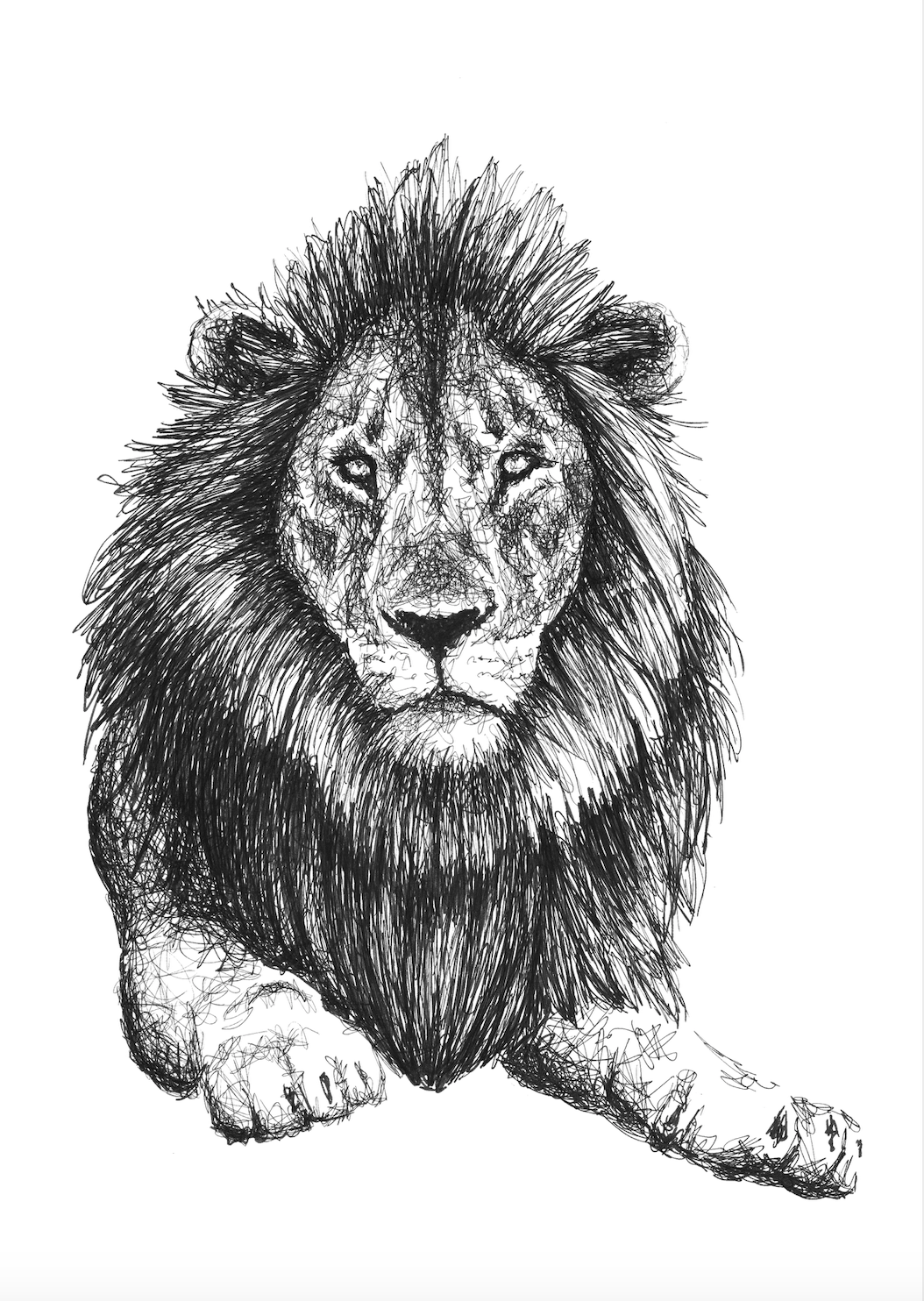 Löwen Portrait der Künstlerin Marilena Hamm alias Scribblezone im Scribble-Stil gezeichnet.