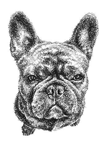Französische Bulldogge Zeichnung im Scribble-Stil der Künstlerin Marilena Hamm alias Scribblezone.