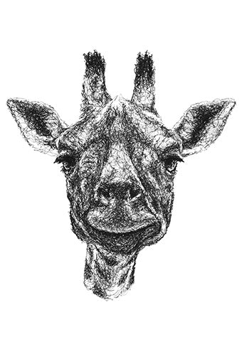 Giraffen Zeichnung im Scribble-Stil der Künstlerin Marilena Hamm alias Scribblezone.