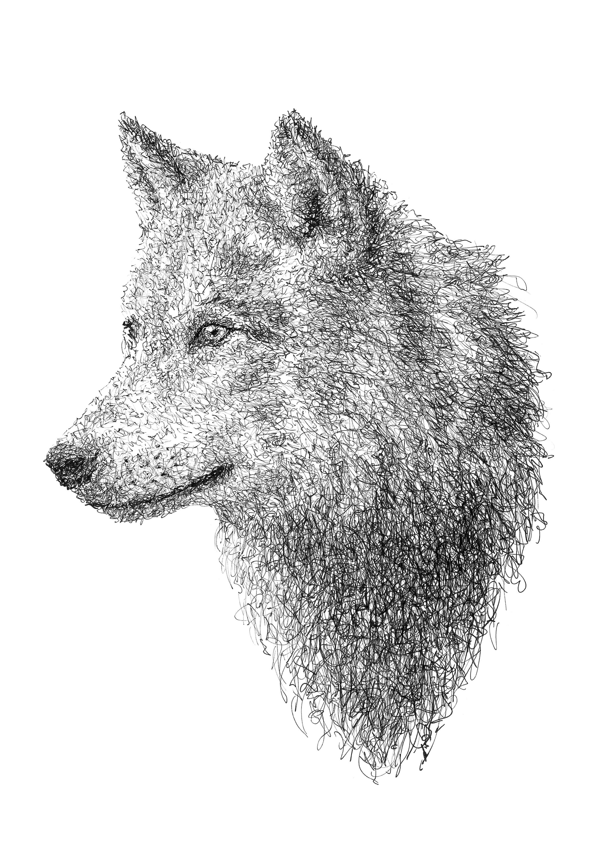 Wolf Zeichnung im Scribble-Stil der Künstlerin Marilena Hamm alias Scribblezone.