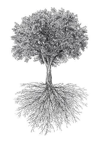 Lebensbaum Zeichnung im Scribble-Stil der Künstlerin Marilena Hamm alias Scribblezone.